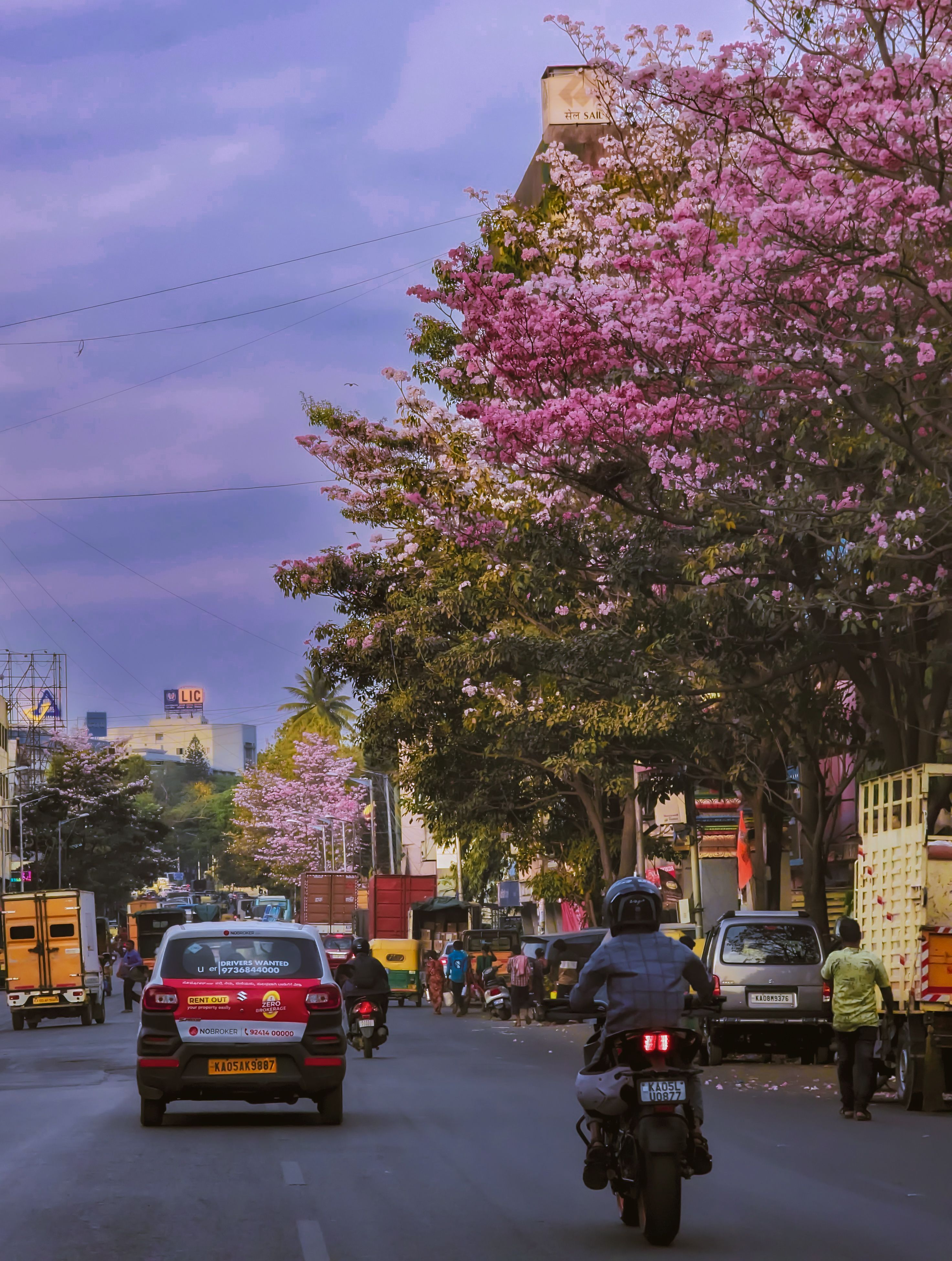 Buy Apartment on Sarjapur Road, Bangalore: A Complete Guide for Homebuyers